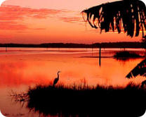 Lake Rousseau Florida, Lake Rousseau, Lake Rousseau Fl, Florida Lakes